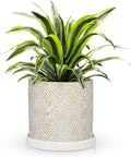 Ceramic Plant Pots with Drainage Hole & Saucer, White & Gold Ceramic Planter Pot for Indoor & Outdoor Use, 5.5" Small Plant Pots Decorative Flowerpots for Succulents, Herbs, Cactus, Orchids Planter