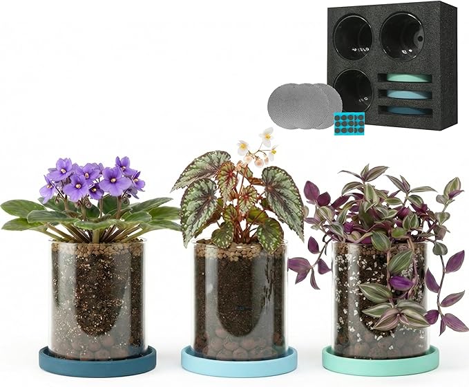 3-Pack 4 Inch Clear Glass Plant Pots with Drainage and Ceramic Trays, Indoor Herb Planters for Home Office, Succulents & Small Plants (Blue 3 Shades)