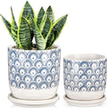 Ceramic Planter Pots for Indoor Outdoor, 5+6 inch Round Flower Pots with Drainage Hole and Tray, Blue and White Plant Pots for Succulent Orchid Flower, Gardening Home Desktop Office Use(Set of 2)
