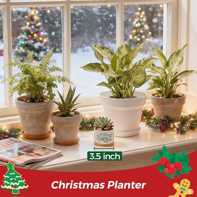 T4U Thank You for Helping Me Grow, 1 Pack Thank You for Helping Me Grow Gift for Teacher, Mini Succulent Pots for Plant Lovers,Thanksgiving Teacher Gift, Small Cactus (3.5 Inch)