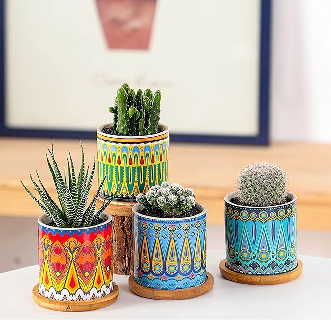 Kingrol 8 Pack Succulent Pots, Mini Ceramic Flower Planter Pot with Drainage Hole and Bamboo Tray for Cactus, Ferns, Herbs, Jade Plants - Mandala Style, Plants Not Included