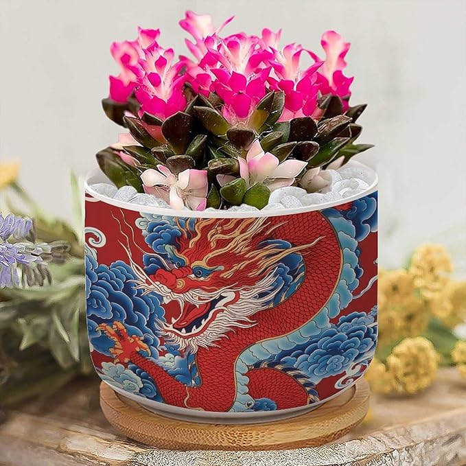 Set of 2 Chinoiserie Dragon Small Planters Ceramics Red and Auqa Dragon Ceramics Plant Pot with Drainage Bamboo Trays Japanese Asian Style Pots for Succulents Indoor