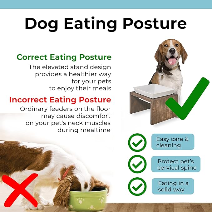 Bowsers Artisan Diner Single Dog Feeder - Handcrafted Rubberwood Frame with Square Ceramic Bowl Feeder for Dogs - Fossil, Medium, 10” x 10” x 6”
