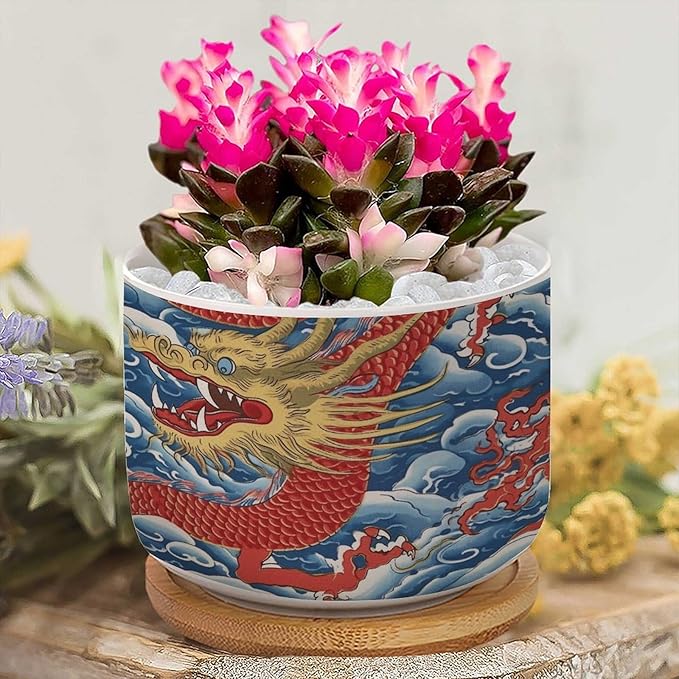 1 Piece Ceramics Planters Red and Auqa Dragon Small Succulents Pots Chinoiserie Dragon Cactus Pot Chinoiserie Asian Plant Pot with Drainage Holes and Bamboo Tray