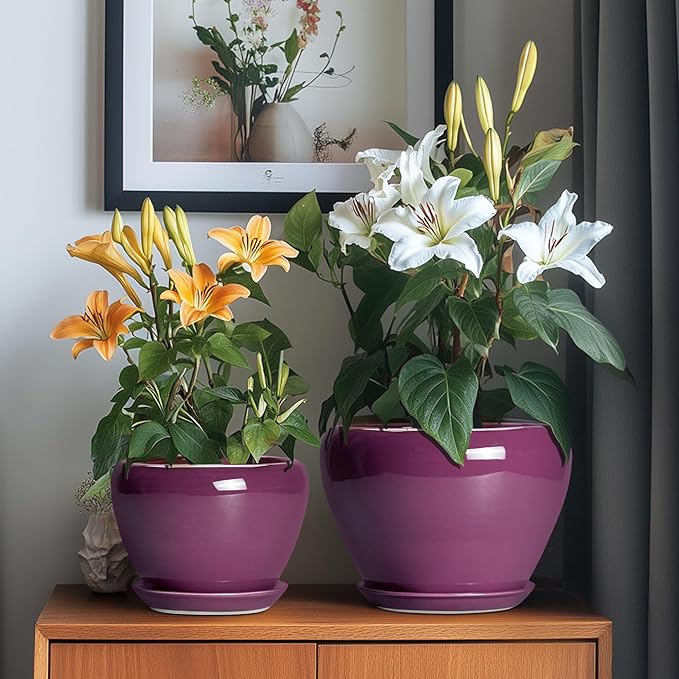 10+8+6 Inch Ceramic Plant Pots, Ceramic Planter for Indoor Outdoor Plants, Round Planter with Drainage Holes and Saucers, Indoor Flower Pots, Room Decor, Housewarming Gift, Set of 3, Purple