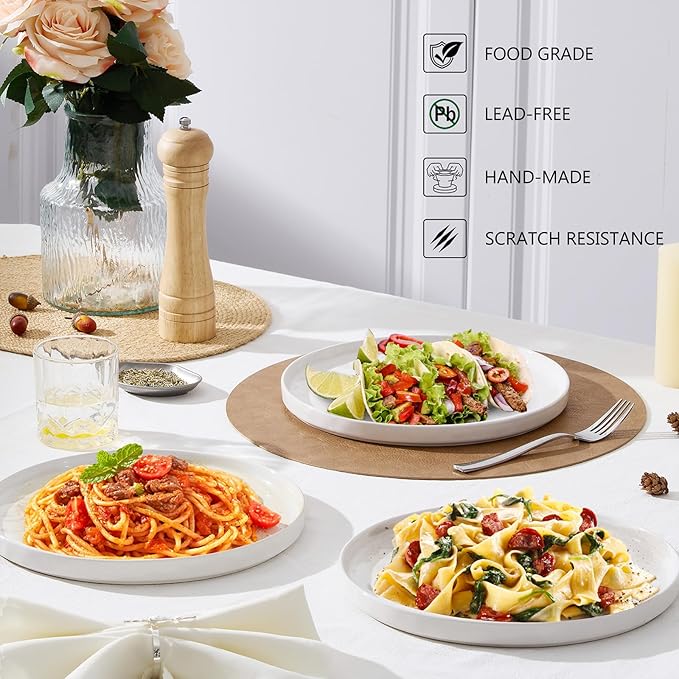 LIANYU Ceramic Plates Set for 4, 10.2In Porcelain Dinner Salad Appetizer Plates for Kitchen, Modern Round Stoneware Dining Dish Set, Scratch Resistant, Microwave, Oven and Dishwasher Safe, Polar White