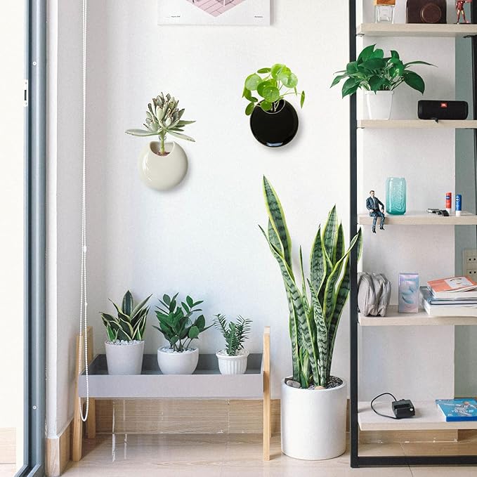Small Wall Planters for Indoor Plants Ceramic Wall Mounted Plant Holder Go Pieces Shape Propagation Wall Hanging Pots for Plants Indoor Outdoor (White)