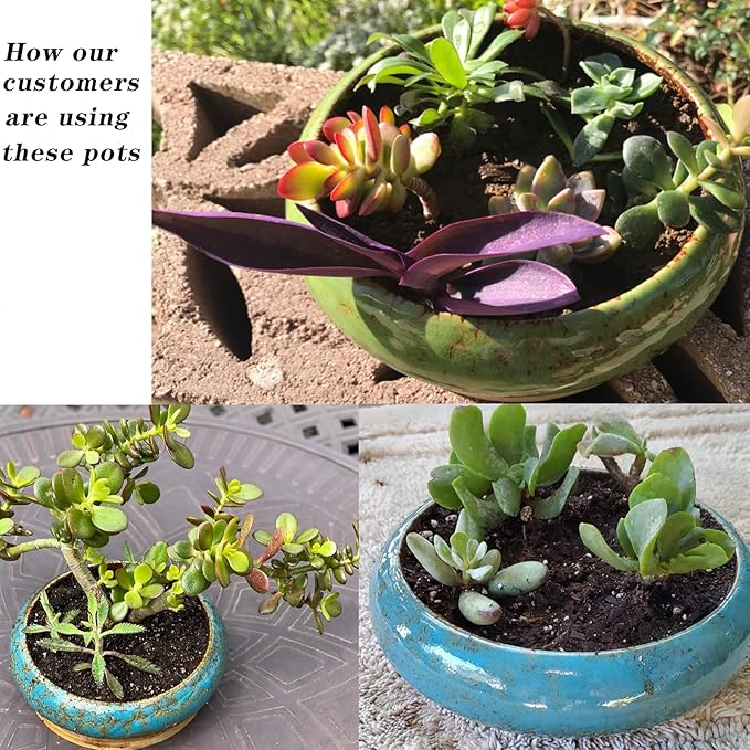 Succulent Pots, Large Succulent Planter with Stand, 7.3/10 Inch Bonsai Planters with Drainage Trays Ceramic Pot for Indoor Cactus Flower Plants Set of 2