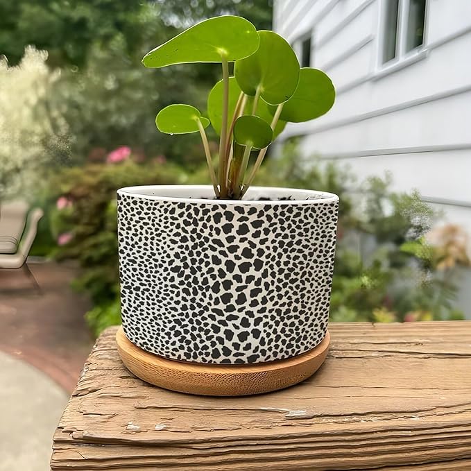 Leopard Print Planters Ceramic African Animal Stripe Round Flower Pot with Drainage Holes and Bamboo Tray Pot for Home Office Desk Garden
