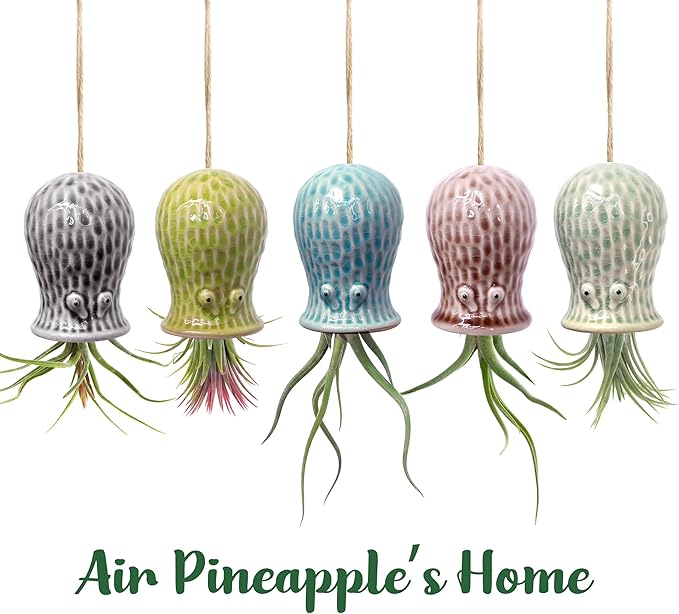 Octopus Air Plant Holder - 5 Pack Resin Hanging Stand for Home Decor, Cute Hanger for Air Plants/Succulent, Octopus Decor for Living Room/Office