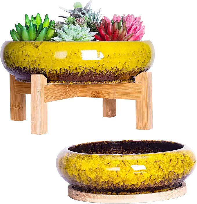 Succulent Pots, Large Succulent Planter with Stand, 7.3/10 Inch Bonsai Planters with Drainage Trays Ceramic Pot for Indoor Cactus Flower Plants Set of 2