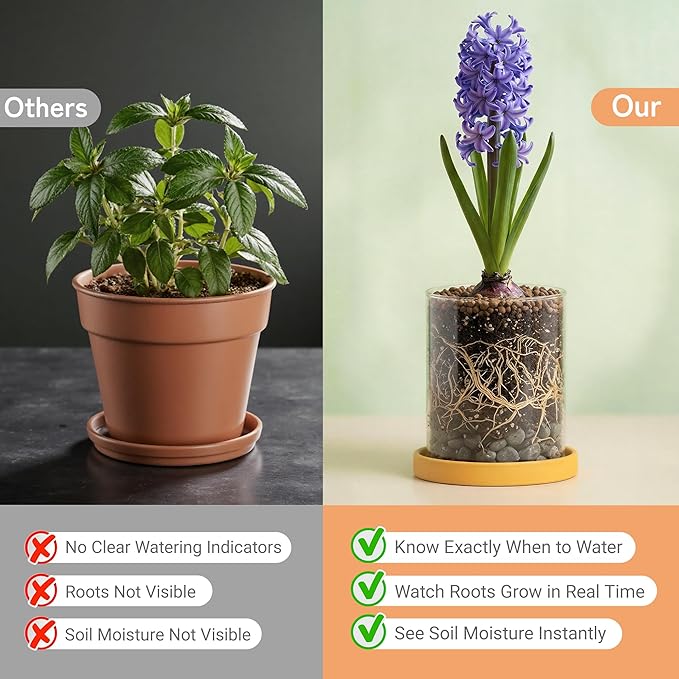 3-Pack 4 Inch Clear Glass Plant Pots with Drainage and Ceramic Trays, Indoor Herb Planters for Home Office, Succulents & Small Plants (Primary 3-Pack)