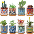 Kingrol 8 Pack Succulent Pots, Mini Ceramic Flower Planter Pot with Drainage Hole and Bamboo Tray for Cactus, Ferns, Herbs, Jade Plants - Mandala Style, Plants Not Included