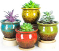 ARTKETTY Succulent Pots - 4 Pack Small Plant Pots with Drainage Tray, 4.5 Inch Ceramic Pots for Indoor Succulent Plants Colorful Cactus Flower Planters Birthday Gifts for Women