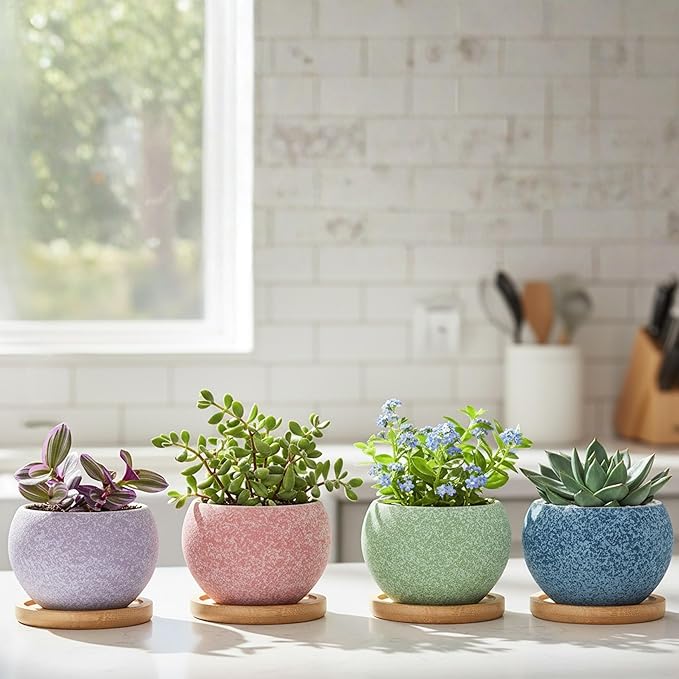 3 inch Ceramic pots for Plants, Small Succulent Pots Set with Drainage, 6 Pack Flower Pot for Indoor Plant, Planters for Little or mini Cactus 2 inches Plants
