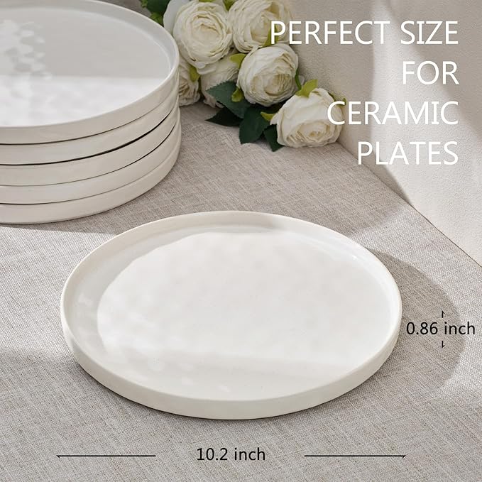 LIANYU Ceramic Plates Set for 4, 10.2In Porcelain Dinner Salad Appetizer Plates for Kitchen, Modern Round Stoneware Dining Dish Set, Scratch Resistant, Microwave, Oven and Dishwasher Safe, Polar White