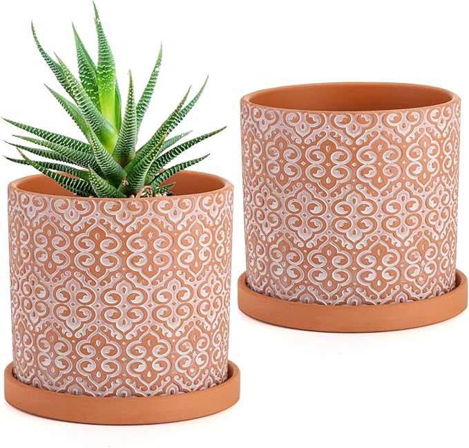 Frcctre 2 Pack Terracotta Pots for Plants, 5 Inch Succulent Planter Pot with Drainage Hole and Saucer, Clay Pottery Pots for Indoor Plants, Cactus, Succulent, Herbs
