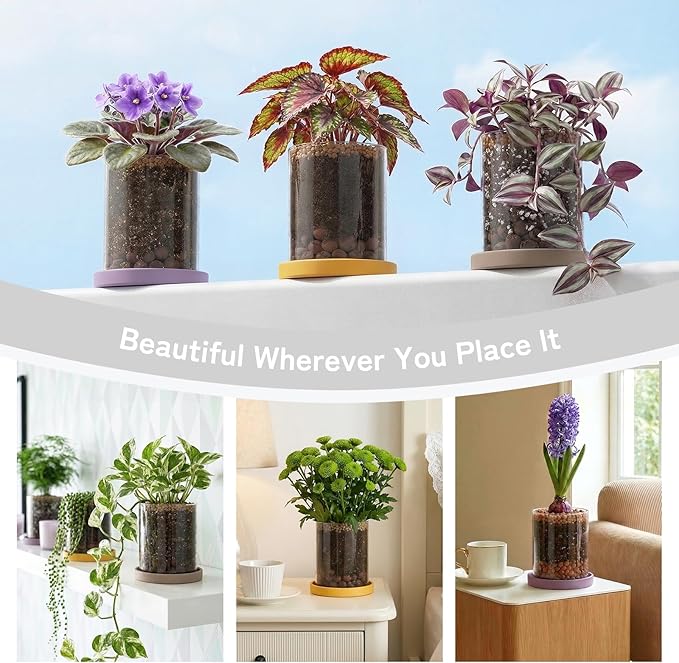 3-Pack 4 Inch Clear Glass Plant Pots with Drainage and Ceramic Trays, Indoor Herb Planters for Home Office, Succulents & Small Plants (Soft 3 Colors)