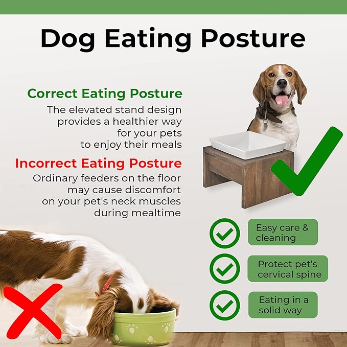 Bowsers Artisan Diner Single Dog Feeder - Handcrafted Rubberwood Frame with Square Ceramic Bowl Feeder for Dogs - Walnut, Medium, 10” x 10” x 6