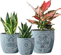 Terracotta Plant Pots,6.5+5+4.4 Inch Plant Pots Indoor with Drainage Hole- Floral Pattern,Blue Ceramic Planters for Indoor Plants,Boho decorative Flower Pots for Succulents,Herbs Plants,Set of 3