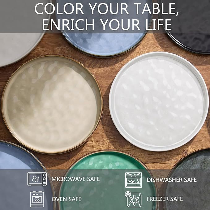 LIANYU Ceramic Plates Set for 4, 10.2In Porcelain Dinner Salad Appetizer Plates for Kitchen, Modern Round Stoneware Dining Dish Set, Scratch Resistant, Microwave, Oven and Dishwasher Safe, Polar White