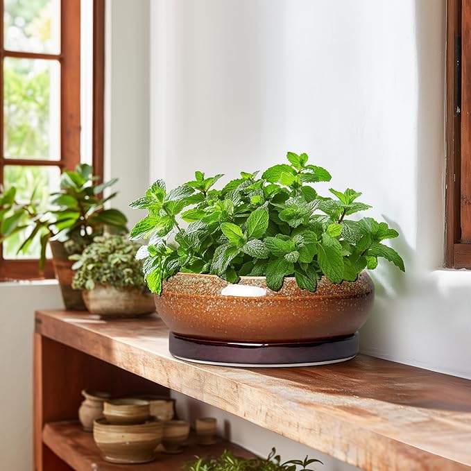 Bonsai Pots - 10 Inch Ceramic Succulent Pots with Drainage Hole and Saucer, Bonsai Planter for Indoor Outdoor, Large Shallow Planter Bowl, Office Decor, Gifts for Plant Lovers, Retro Brown