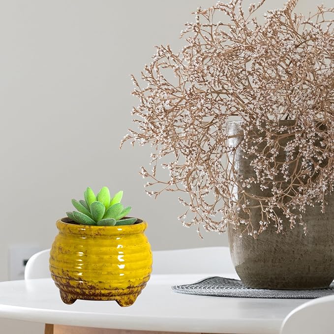 ARTKETTY Succulent Pots - Small Succulent Plant Pots with Drainage Set of 6, Ceramic Cactus Planter Pots for Indoor Unique Flower Planter Container for Home Office Decor