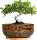 Bonsai Pots 8 Inch - Ceramic Succulent Planters for Indoor Plants, Shallow Plant Pots with Drainage Hole and Saucer, Boho Round Planter Bowl, Office Decor, Brown