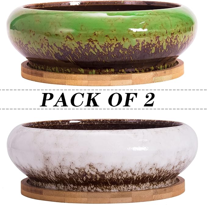 Succulent Pots with Drainage, 2 Pack Large Succulent Planters Ceramic Bonsai Pot with Trays, 7.3 Inch Round Shallow Planters for Indoor Cactus Flower Plants