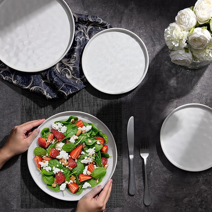 LIANYU Ceramic Plates Set for 4, 10.2In Porcelain Dinner Salad Appetizer Plates for Kitchen, Modern Round Stoneware Dining Dish Set, Scratch Resistant, Microwave, Oven and Dishwasher Safe, Polar White