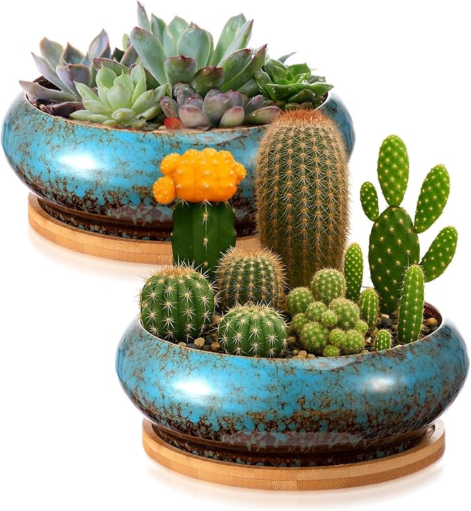 2 Pack 7.3 Inch Round Large Shallow Succulent Ceramic Planter Pots with Drainage Hole Drip Glazed Shallow Bonsai Pot with Bamboo Tray for Indoor Outdoor Plants Decor Cactus Flower
