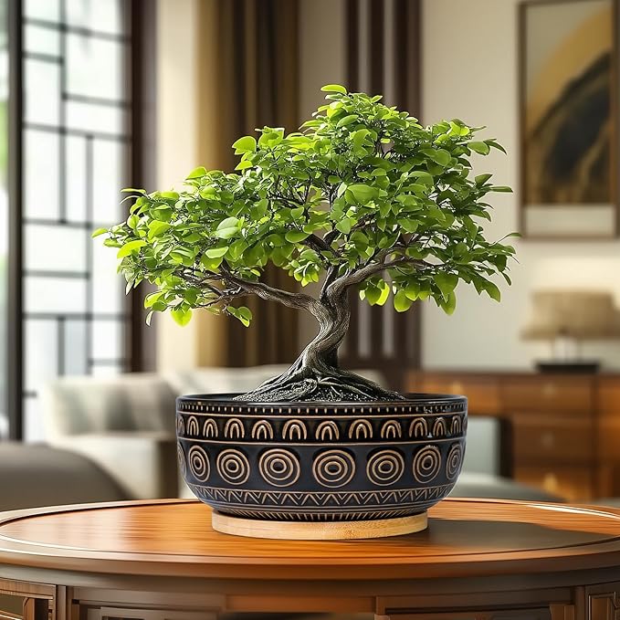Ceramic Bonsai Pots - 8 Inch Plant Pot for Succulent, Round Planter for Indoor Plants, Shallow Planters with Drainage Hole and Tray, Boho Bonsai Bowl, Living Room Decor, Black