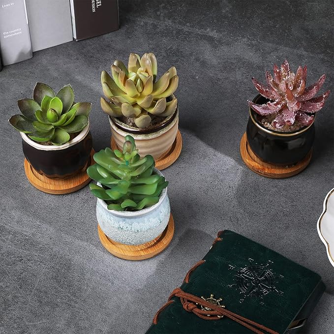 Remerry 24 Pcs Small Succulent Pots Bulk with Drainage Assorted 2.5 Inch Mini Ceramic Succulent Planters Pot with Coaster Bamboo Plant Tray Planting Pots for Home Office Garden (Rich Color)