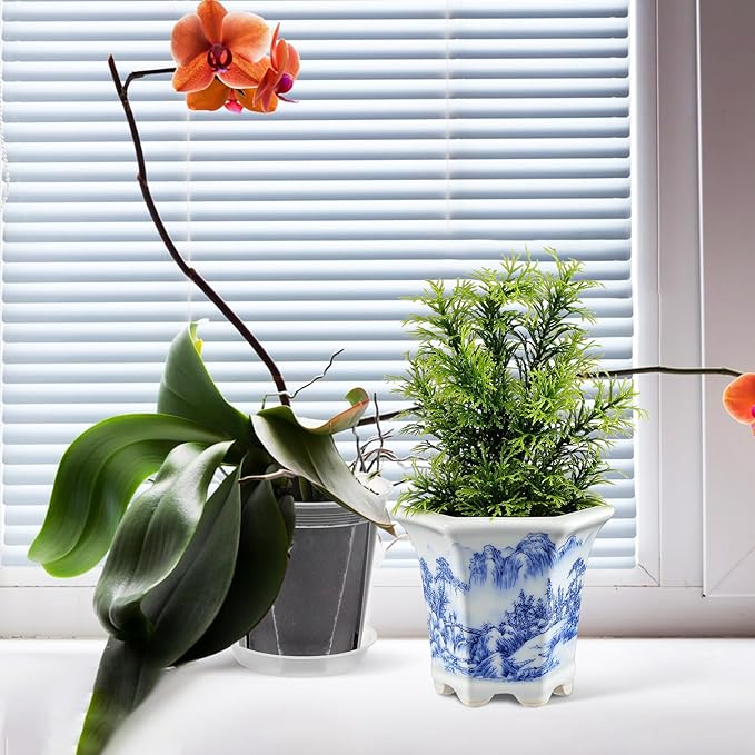 Blue and White Ceramic Succulent Planter Pot for Indoor Balcony with Oval Porcelain Bonsai Bowl, Small Asian Style Flower Pot for Cactus and Nursery Plants