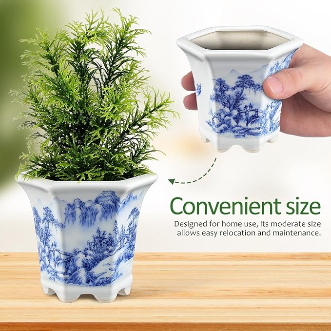 Blue and White Porcelain Plant Pot, Asian Ceramic Succulent Planter for Indoor Balcony, Oval Small Garden Planter with Decorative Floral Pattern