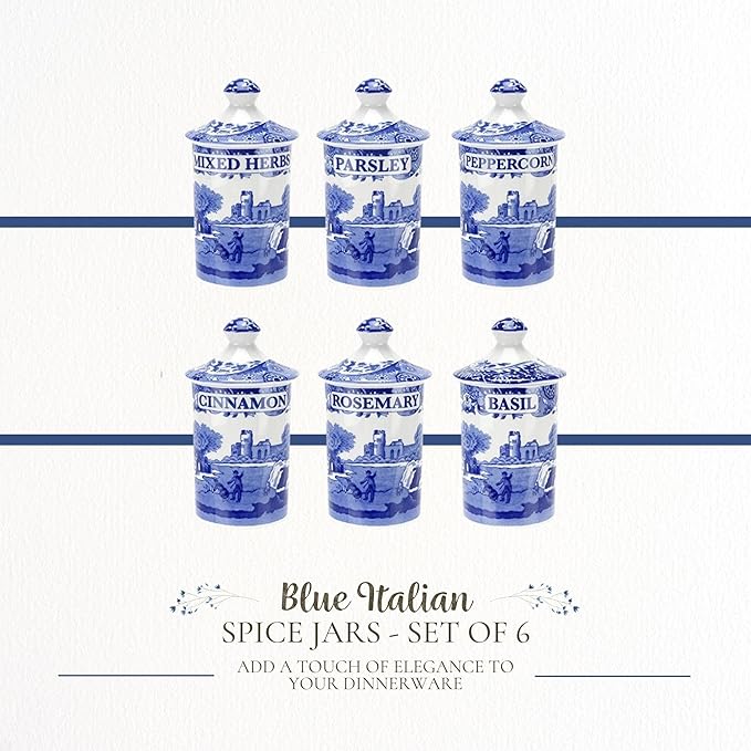 Spode 1389542 Blue Italian Spice Jar, Set of 6