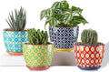 Succulent Ceramic Pots, 3.8 Inch Small Plant Pots with Drainage Hole & Saucer, Flower Planter Pot for Houseplants, Cacti, Home Decor, Set of 4, Vibrant Colors