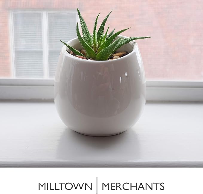 Milltown Merchants Succulent Wall Planters - Wall Vases - Black Ceramic Wall Mounted Planters - Succulent Plant Pots - Hanging Vases for Living Wall (2 Pack/Modern/White)