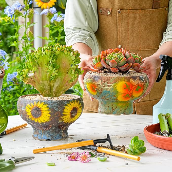 Sungmor Small Succulent Planters Set of 2, Beautiful Hand Crafted Ceramic Plant Pots Cute Cactus Pot, 6.5 Inch Flower Pots for Indoor Plants with Drainage, Desktop Windowsill Home Office Decor Pots