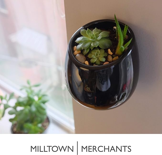 Milltown Merchants Succulent Wall Planters - Wall Vases - Black Ceramic Wall Mounted Planters - Succulent Plant Pots - Hanging Vases for Living Wall (2 Pack/Modern/Black)
