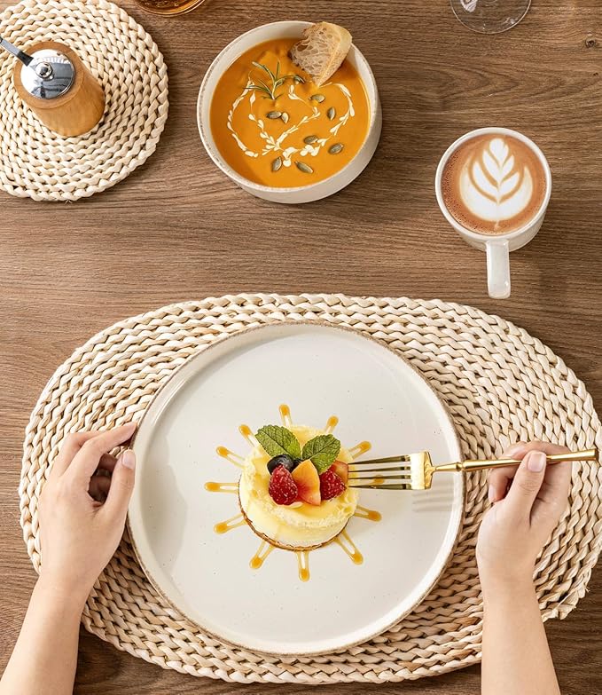 AmorArc Ceramic Dinnerware Sets for 8, 24 Pieces Handpainted Plates and Bowls Set with Rustic Terracotta Underside, Scratch Resistant Stoneware Dishes Set, Dishwasher & Microwave Safe