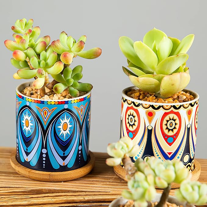 Kingrol 8 Pack Succulent Pots, Mini Ceramic Flower Planter Pot with Drainage Hole and Bamboo Tray for Cactus, Ferns, Herbs, Jade Plants - Mandala Style, Plants Not Included