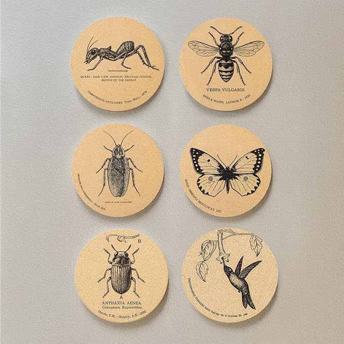 Coasters Insects for Drinks with Holder Set of 6, Butterfly Cork Coaster Absorbent for Cup Entomology Office Desk Table Coasters Kitchen Decor House Warming Gifts for New Home Couples, Round 4"