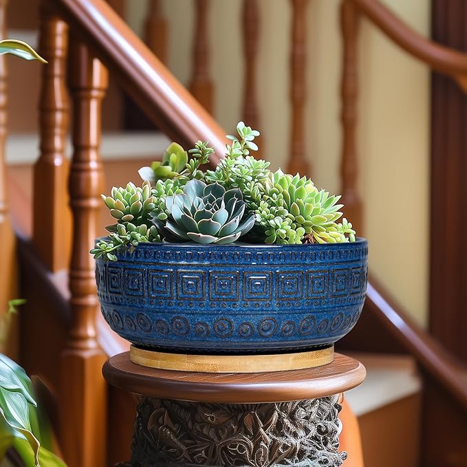 G EPGardening Bonsai Pots 8 Inch - Ceramic Succulent Pots, Round Planter for Indoor Plants, Modern Outdoor Planter with Drainage and Plant Saucer, Boho Home Decor, House Warming Gifts New Home, Blue