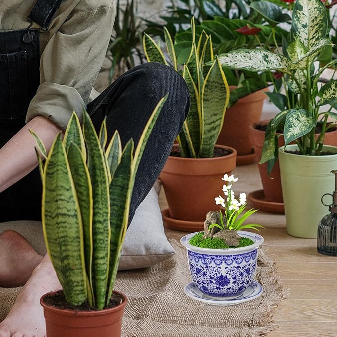 DOITOOL Blue and White Ceramic Planter Pot Chinese Ceramic Flower Pots Oriental Planter Decorative Succulent Plant Pot with Trays for Balcony Yard Home Decoration