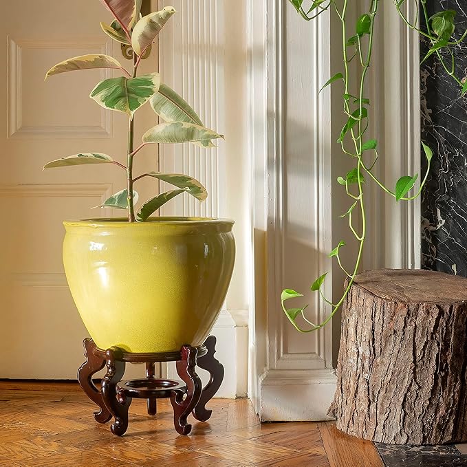 Red Lantern 14" Daffodil Yellow Fishbowl Planter or Cachepot for Indoor/Outdoor Use in Garden Entryway Living Room Boho Eclectic Modern Contemporary Classic Traditional Style Decor