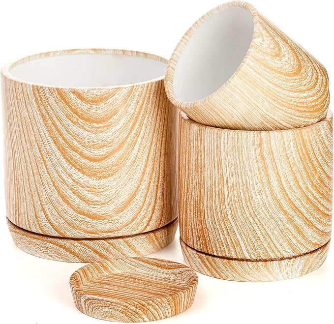 Dicunoy Set of 3 Ceramic Planters - 6"/5"/4" Cylinder Flower Pots with Drainage Holes and Saucers for Indoor, Outdoor, Garden, Cactus, Herbs, Snake Plants, Aloe Vera, All House Plants