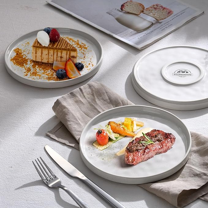 LIANYU Ceramic Plates Set for 4, 10.2In Porcelain Dinner Salad Appetizer Plates for Kitchen, Modern Round Stoneware Dining Dish Set, Scratch Resistant, Microwave, Oven and Dishwasher Safe, Polar White