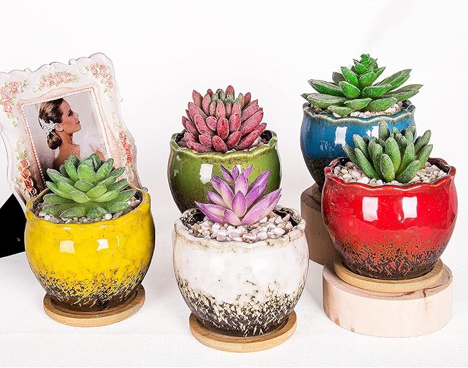 ARTKETTY Succulent Pots - 4 Inch Ceramic Succulent Planters with Drainage Tray Set of 6, Small Cactus Pots for Indoor Plants Colorful Flower Plant Pots for Desk Windowsill