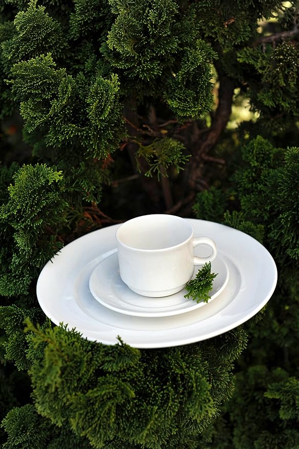 Fortessa Fortaluxe SuperWhite Vitrified China Dinnerware, Cassia 5-Inch Saucer for Stackable Espresso Cup, Set of 6